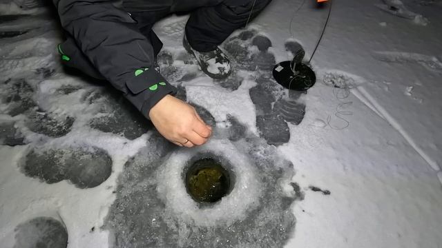 ПЕРВАЯ НАЛИМЬЯ РЫБАЛКА 2022-2023 / FIRST BURBOT FISHING 2022-2023 смотреть онлайн