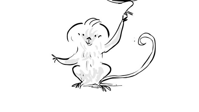 How to speak monkey: The language of cotton-top tamarins - Anne Savage смотреть онлайн