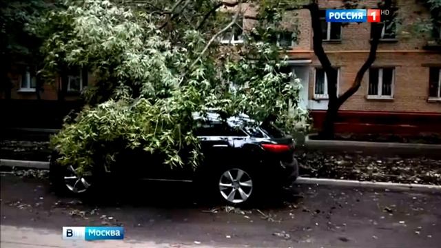 Ночной ураган: Рузский район принял на себя основной удар смотреть онлайн