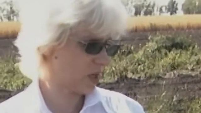 Предупреждаем фитофтору смотреть онлайн