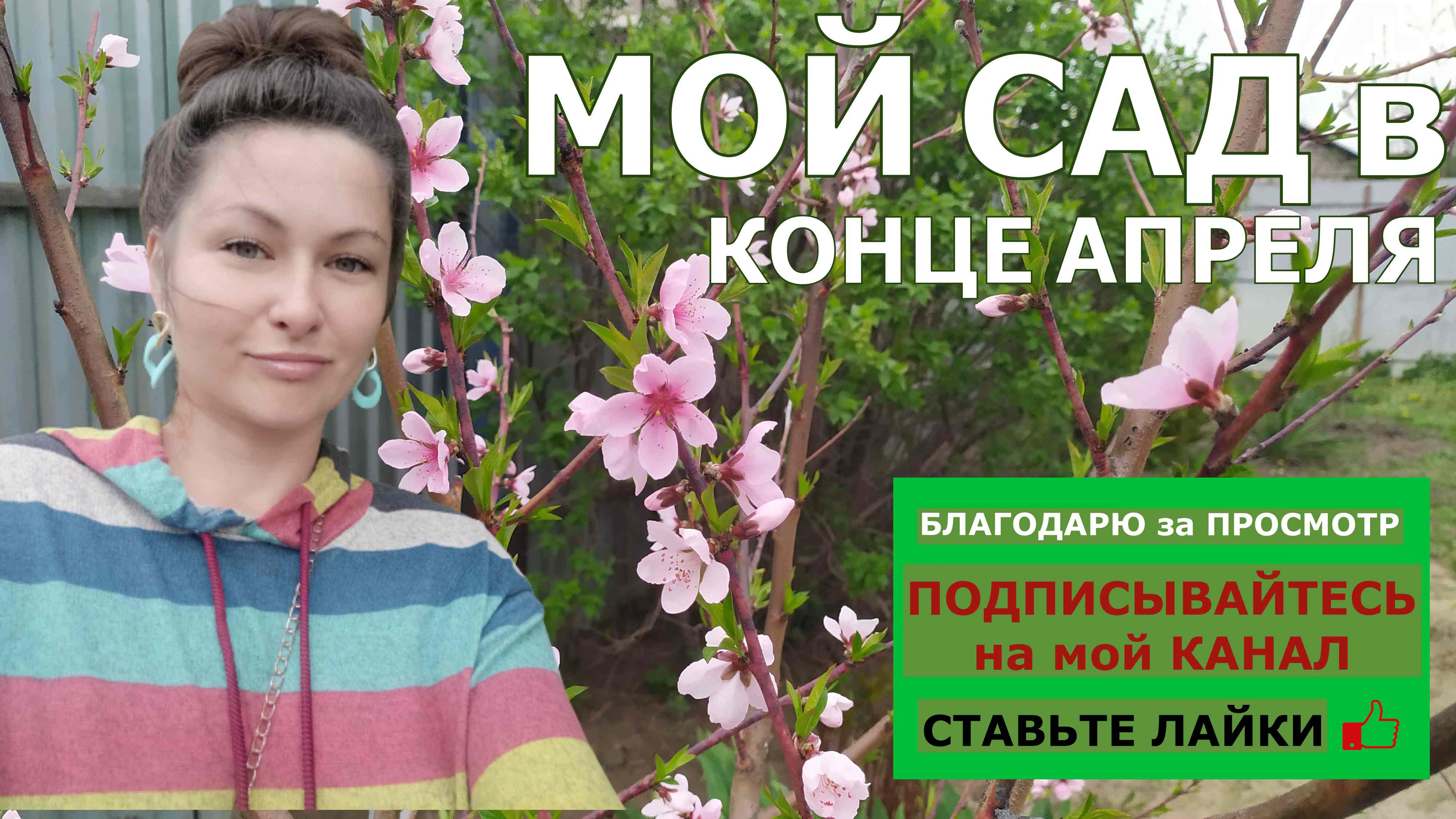 МОЙ САД В КОНЦЕ АПРЕЛЯ.