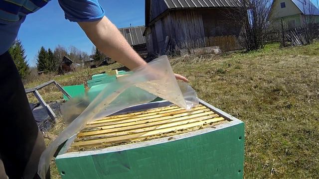 Весеннее расширение пчелосемей смотреть онлайн