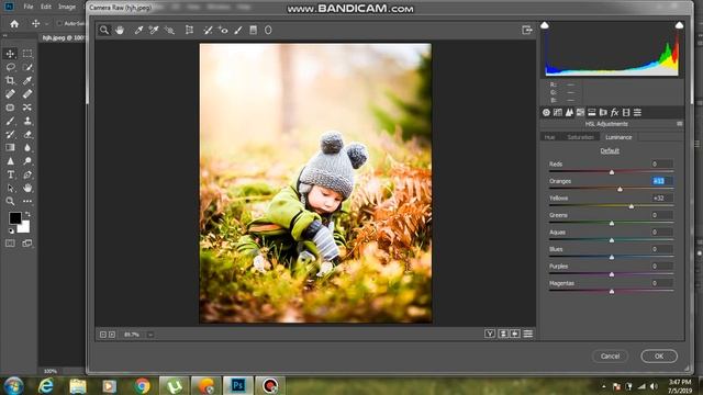 Adob photoshop CC 2019 SImple Editing (Camera Raw ) смотреть онлайн