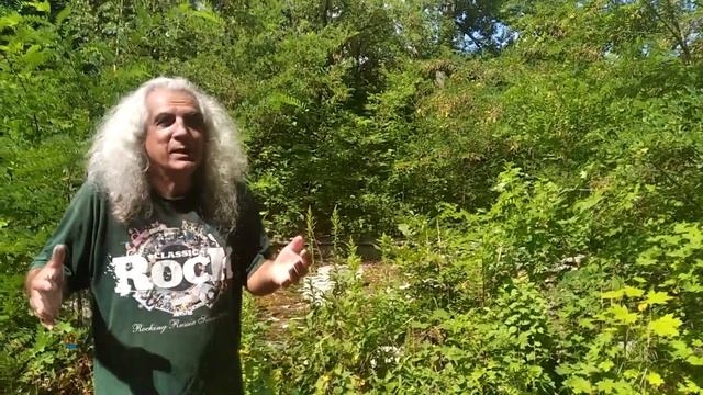 Столица цветных фонтанов Великие Луки смотреть онлайн