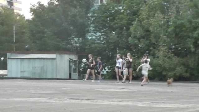 00113 смотреть онлайн