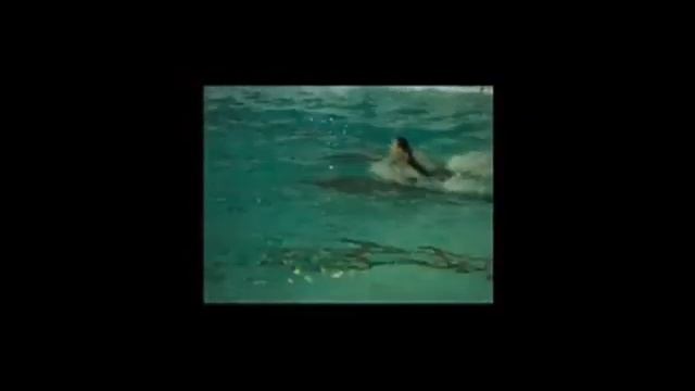 Жизнь дельфинов смотреть онлайн