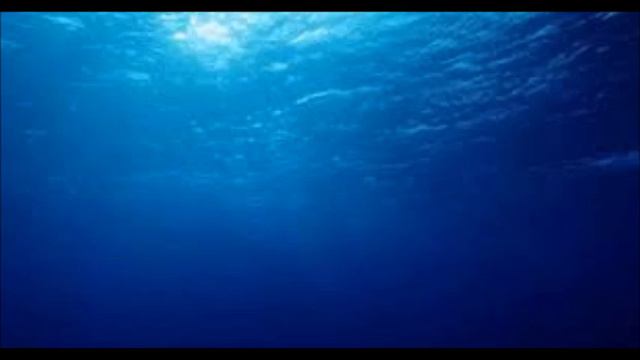 Yamaha MX49 - Branding of the Sea смотреть онлайн