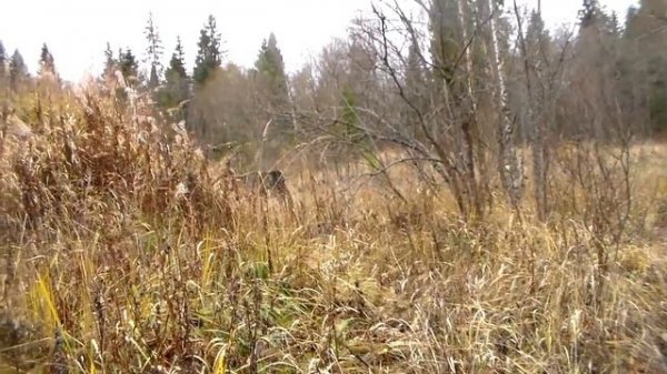 Валдай. Логово " Сатаны"