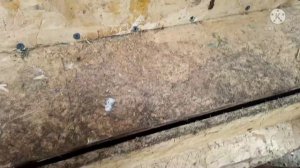 Что делать что бы куры не клевали яйца. Делаем гнезда с яйцеприёмником. Выходной дома.