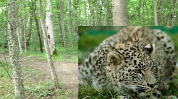 Природа Северного Кавказа