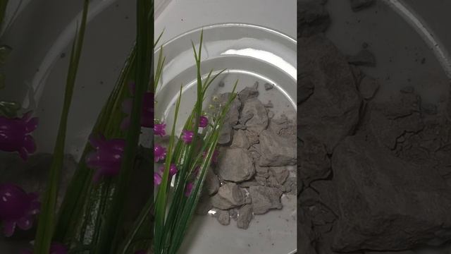 Глина Киргизкая Фиолетовая смотреть онлайн