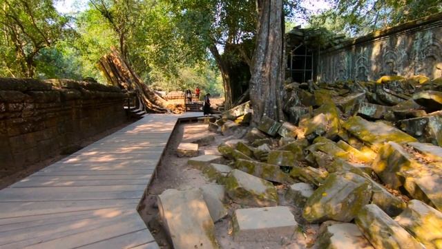 Ta Prohm Temple, Siem Reap, Cambodia GoPro 1080p смотреть онлайн