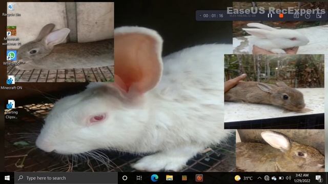 how to convert Minecraft trial to full easy смотреть онлайн