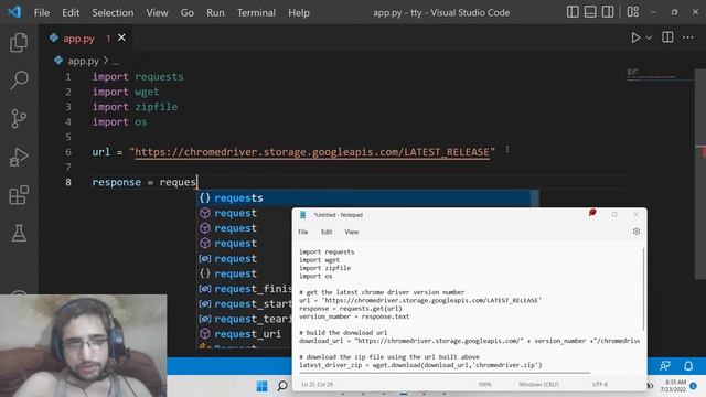 Python 3 Script to Download Latest Selenium Chrome Driver Executable Remotely in Command Line смотреть онлайн