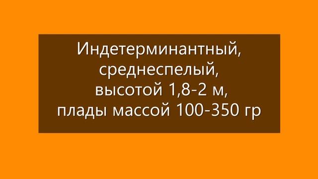 Томаты, подходящие для консервации. г Киров. Ватсап, Вайбер т. 89229284031 смотреть онлайн