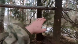 Как построить дом в лесу - Шалаш в лесу для рыбалки