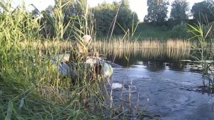 Простейший самодельный электромотор для надувной лодки