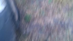 КПП на Renault Traffic (Рено Трафик)