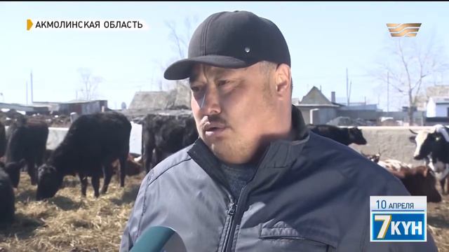 Кризис сельхоз ветеринарии смотреть онлайн