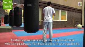 Taekwondo Tutorial: (Spinning) back kick