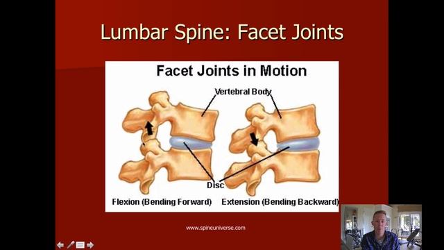 Biomechanics Lecture 4 - Spine смотреть онлайн