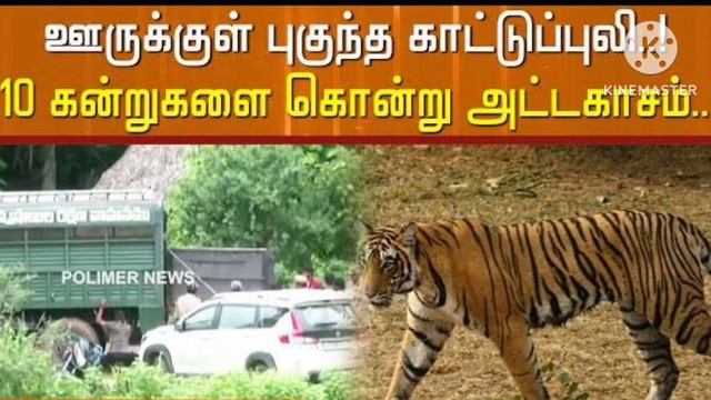 லாரி டிரைவரின் மலை பாம்பு смотреть онлайн