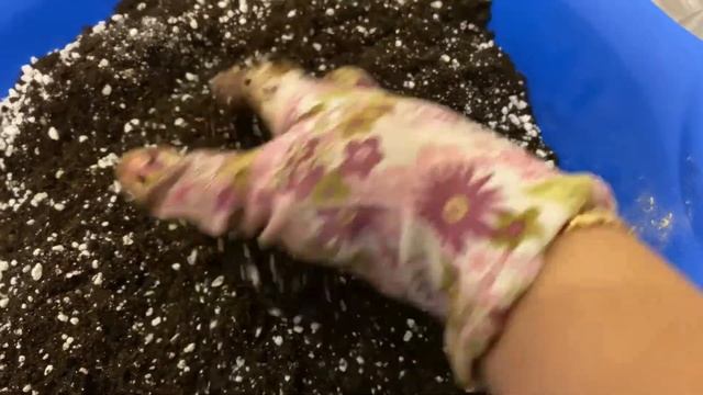 Готовлю грунт для рассады перцев и томатов. Часть 2 смотреть онлайн