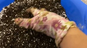 Готовлю грунт для рассады перцев и томатов. Часть 2