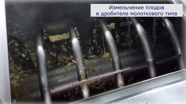 Яблочное пюре. Этапы производства смотреть онлайн