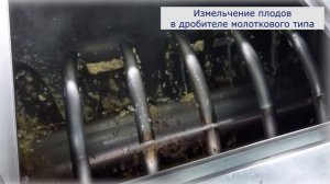 Яблочное пюре. Этапы производства