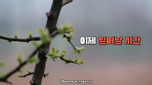 ENHYPEN на шоу «EN-O'CLOCK» Дружный лагерь (Часть 4), эпизод 98 смотреть онлайн