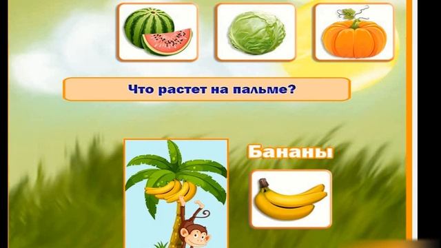 Ознакомление с окружающим миром / Дидактическая игра "Что где растет?" смотреть онлайн