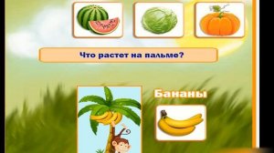 Ознакомление с окружающим миром / Дидактическая игра "Что где растет?"
