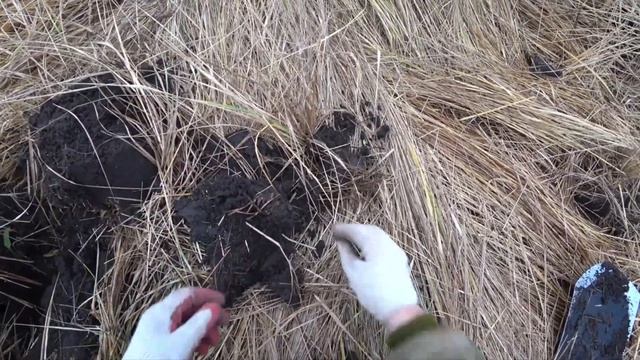 поле и интроник смотреть онлайн