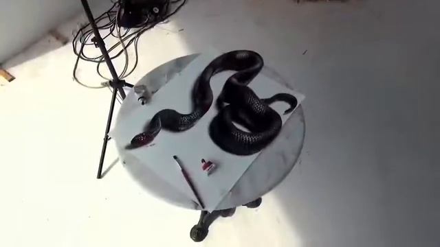 Круто рисует.Молодец парень.3D рисунки какиживые!!! смотреть онлайн