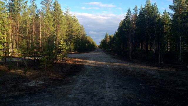 Страйкбол, Печора, полигон Белый Ю, открытие сезона 2016. Частичная демонстрация полигона. смотреть онлайн