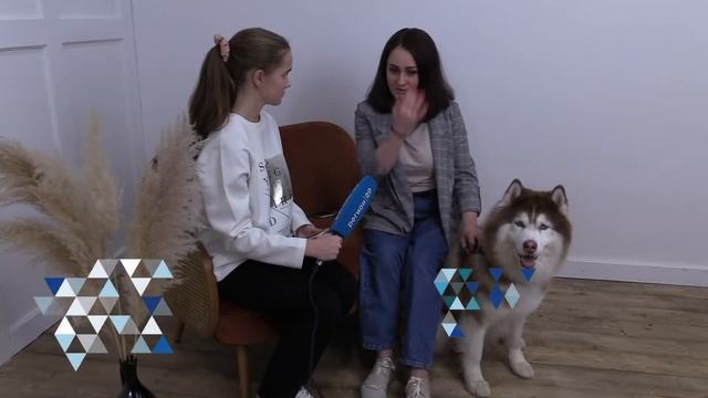 Мастер-класс по съемке животных от фотографа-анималиста смотреть онлайн