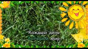 ШИРОКОВА А.В. КАРАОКЕ Я возьму этот большой мир