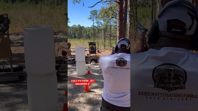 My first shots with the New 6" COLT PYTHON .357 MAGNUM I’ll do better next time ? #gunsandboxing смотреть онлайн