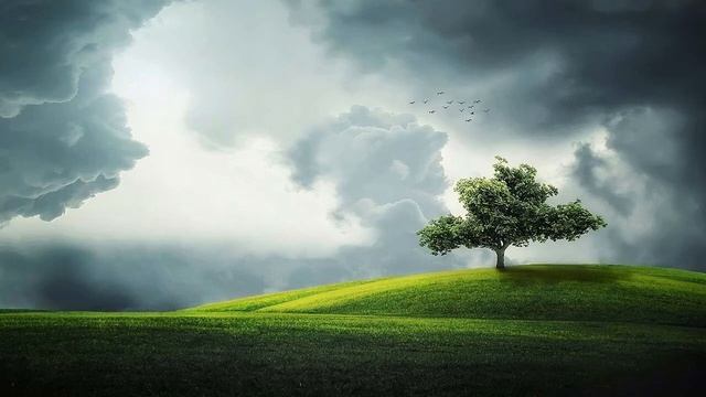 meditation music смотреть онлайн