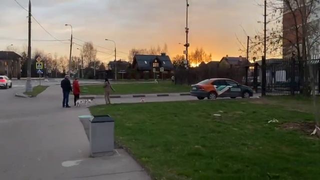 VLOG / вторник / учеба / новая прическа / прогулка с семьей смотреть онлайн