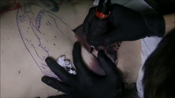 The great shark - Tattoo time lapse