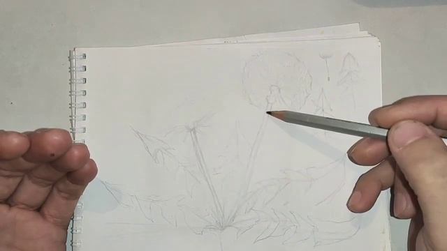 Рисуем Одуванчик. Уроки для школьников. Урок 3-ий смотреть онлайн