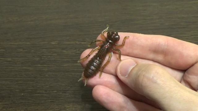 Видеообзор силиконовой личинки стрекозы Crazy Fish Kasari по заказу Fmagazin смотреть онлайн