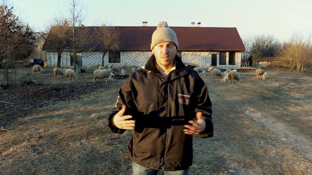 Рождение ягнят на усадьбе чары. Катумские кроссы смотреть онлайн