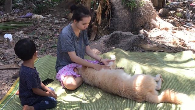 Teaching my brother how to remove some lice for TOTO. смотреть онлайн