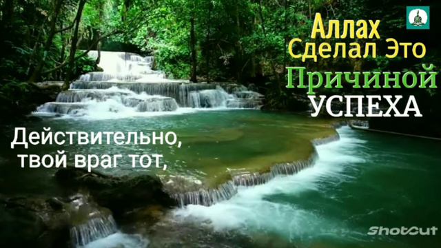 Причиной успеха Всевышний сделал это! смотреть онлайн