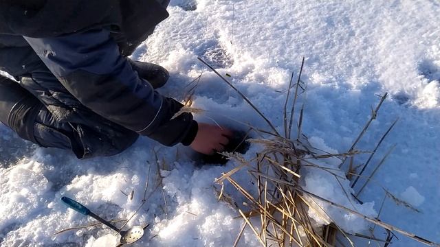 Ловля плотвы на косынку зимой!!!!! смотреть онлайн