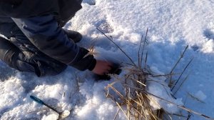 Ловля плотвы на косынку зимой!!!!!