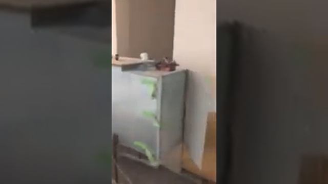 Вытяжка рециркуляционная переносная смотреть онлайн